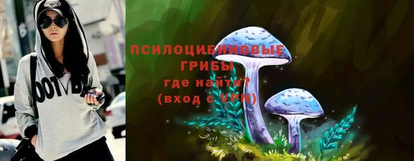 MESCALINE Новодвинск