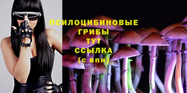 jwh Нязепетровск