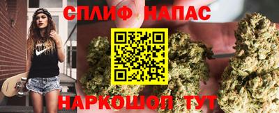 гашик Лесосибирск
