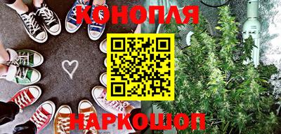 гидра Бийск