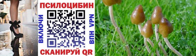 Галлюциногенные грибы MAGIC MUSHROOMS  Новоалтайск 