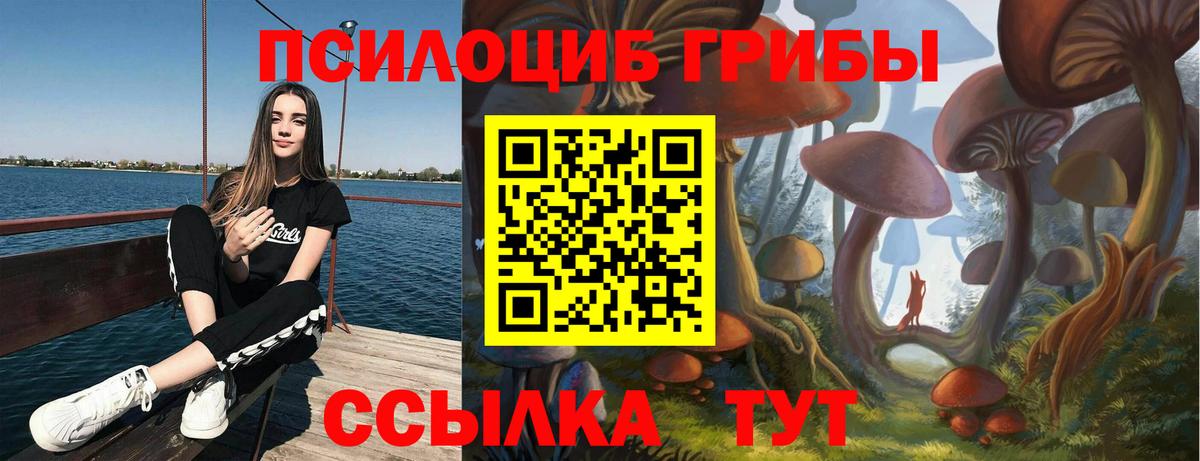 Галлюциногенные грибы Magic Shrooms  Вход с VPN  закладки  Новоалтайск 