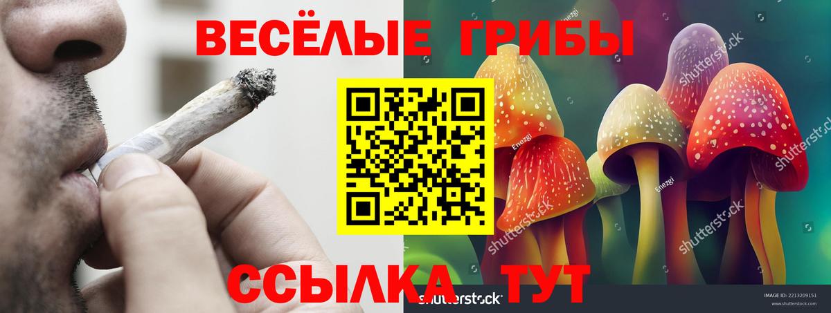 Галлюциногенные грибы Cubensis  Новоалтайск 